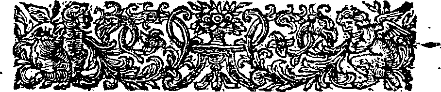 089/089250010500020_1.png