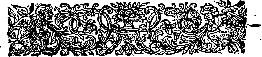 089/089250010500030_1.png