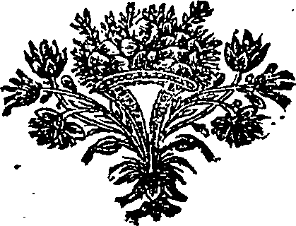 089/089250010803010_0.png