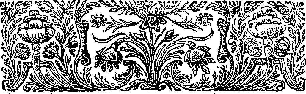 089/089270050000150_1.png