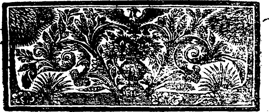 089/089290050000020_1.png