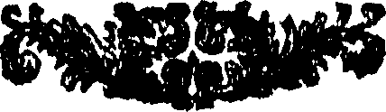 089/089440070000010_0.png