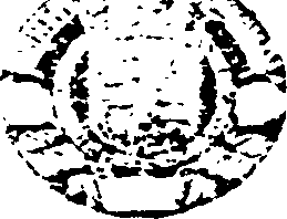 089/089570030300080_0.png