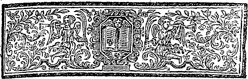 089/089630010001970_2.png