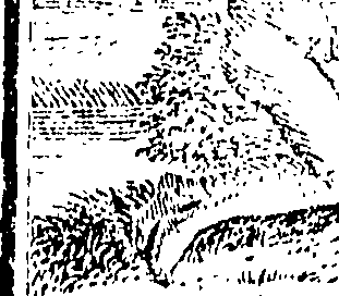 089/089650070000010_0.png