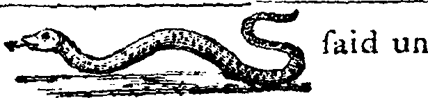089/089650070000140_1.png