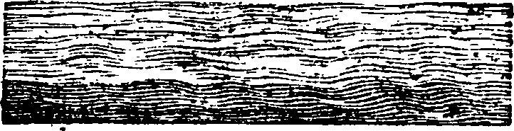 089/089650070000170_0.png