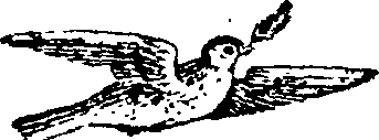 089/089650070000180_0.png