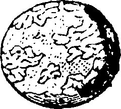 089/089650070000190_0.png