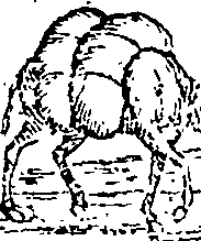 089/089650070000240_0.png