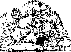 089/089650070000270_0.png
