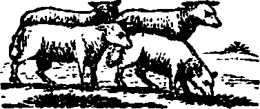 089/089650070000290_2.png