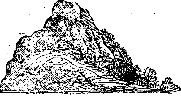 089/089650070000320_1.png