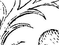089/089650070000390_0.png