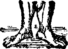 089/089650070000410_4.png