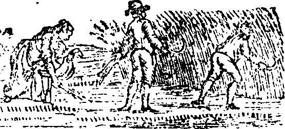 089/089650070000450_1.png