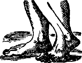 089/089650070000570_0.png