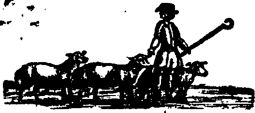 089/089650070000620_0.png
