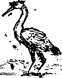 089/089650070000640_1.png