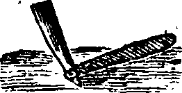 089/089650070000660_1.png