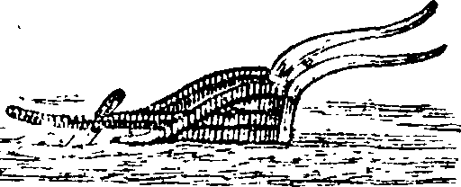 089/089650070000740_0.png