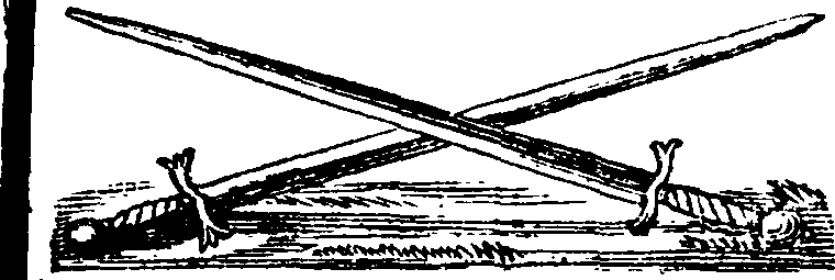 089/089650070000740_1.png