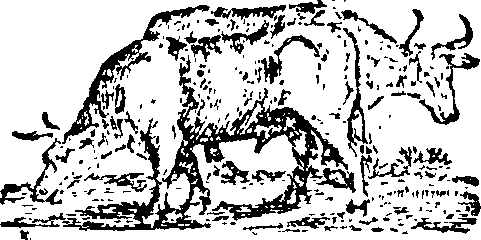 089/089650070000840_2.png