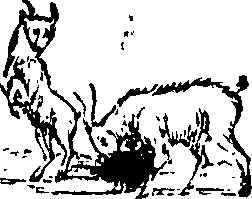 089/089650070000840_3.png