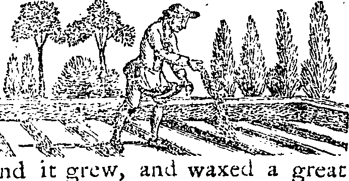 089/089650070000940_0.png