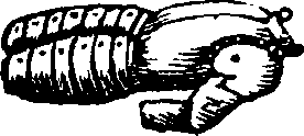 089/089650070001100_1.png