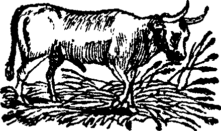 089/089650070001140_1.png