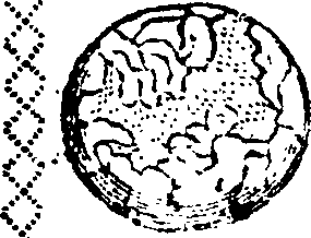 089/089650070001210_1.png