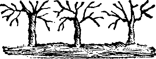 089/089650070001240_0.png