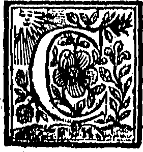089/089700050000560_0.png