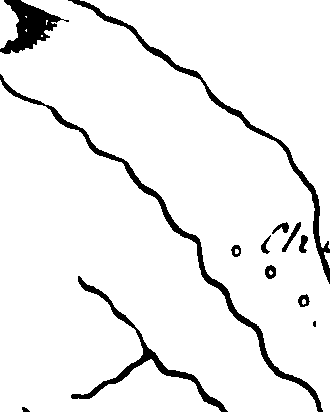 089/089700050001780_0.png
