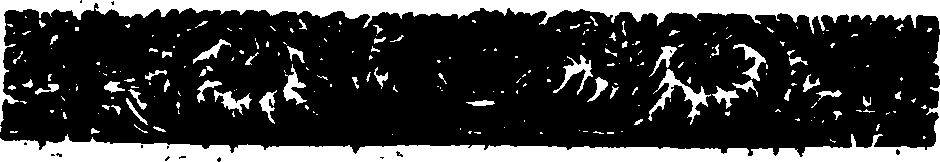 089/089830020000860_1.png