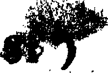 089/089830020000910_0.png