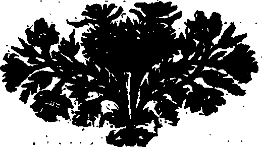 089/089830020002070_0.png