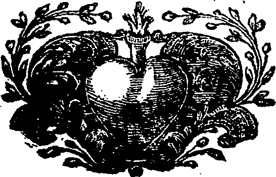 089/089870020200060_0.png
