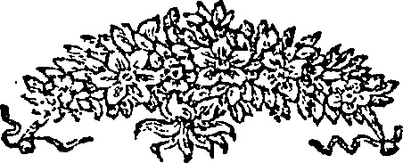 089/089870020201570_0.png
