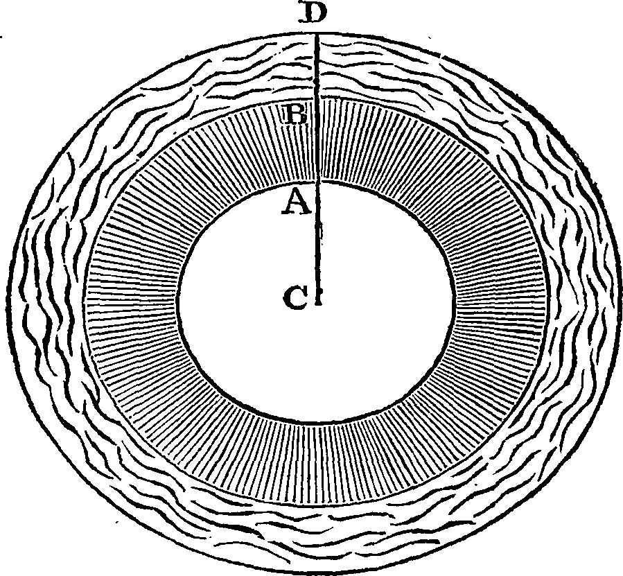 089/089870020202080_0.png