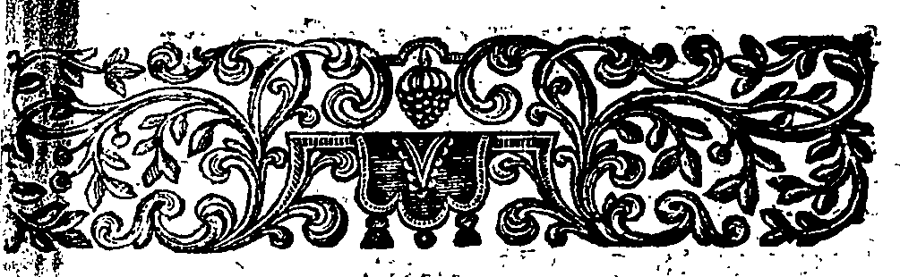 089/089870030000030_1.png