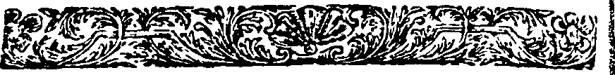 089/089920020202500_0.png