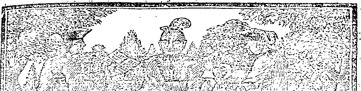 089/089920030101580_0.png