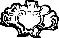 090/090050070000010_1.png