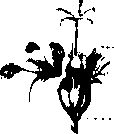 090/090070010201670_1.png
