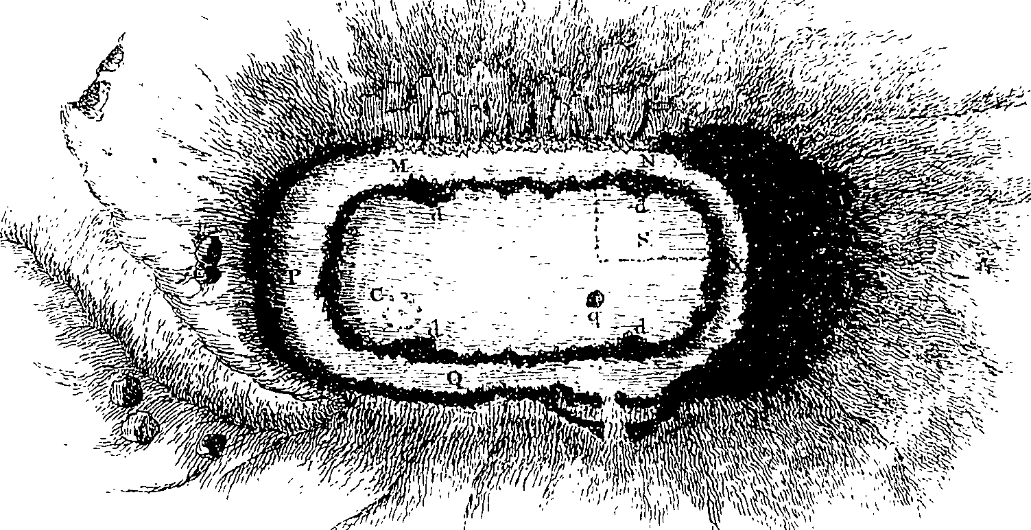 090/090070010203690_1.png