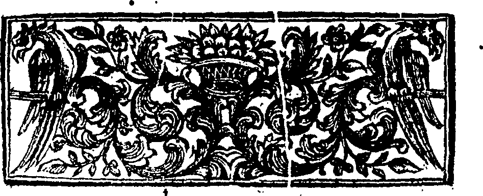 090/090090050000080_0.png