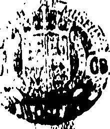 090/090100070000060_0.png