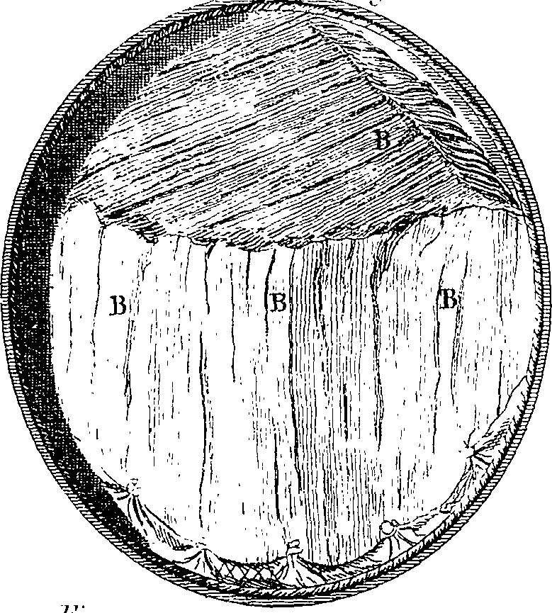 090/090120030003650_3.png